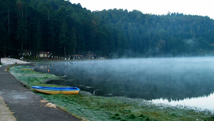 Campamento en Parque Nacional Los Azufres