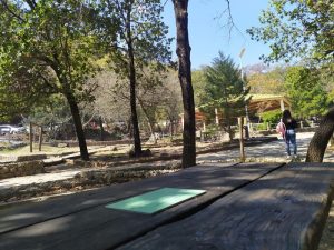 Campamento Parque Ecológico Chipinque