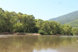 Campamento en Rio Picachos